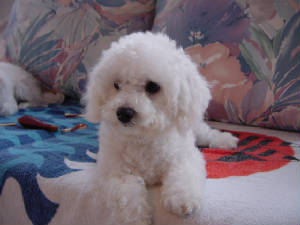dsc00678.jpg